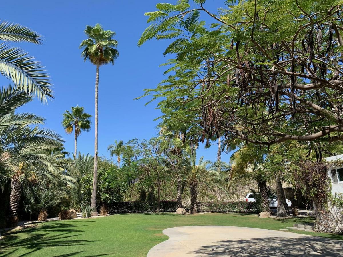 קאבו סן לוקאס Los Milagros Hotel מראה חיצוני תמונה