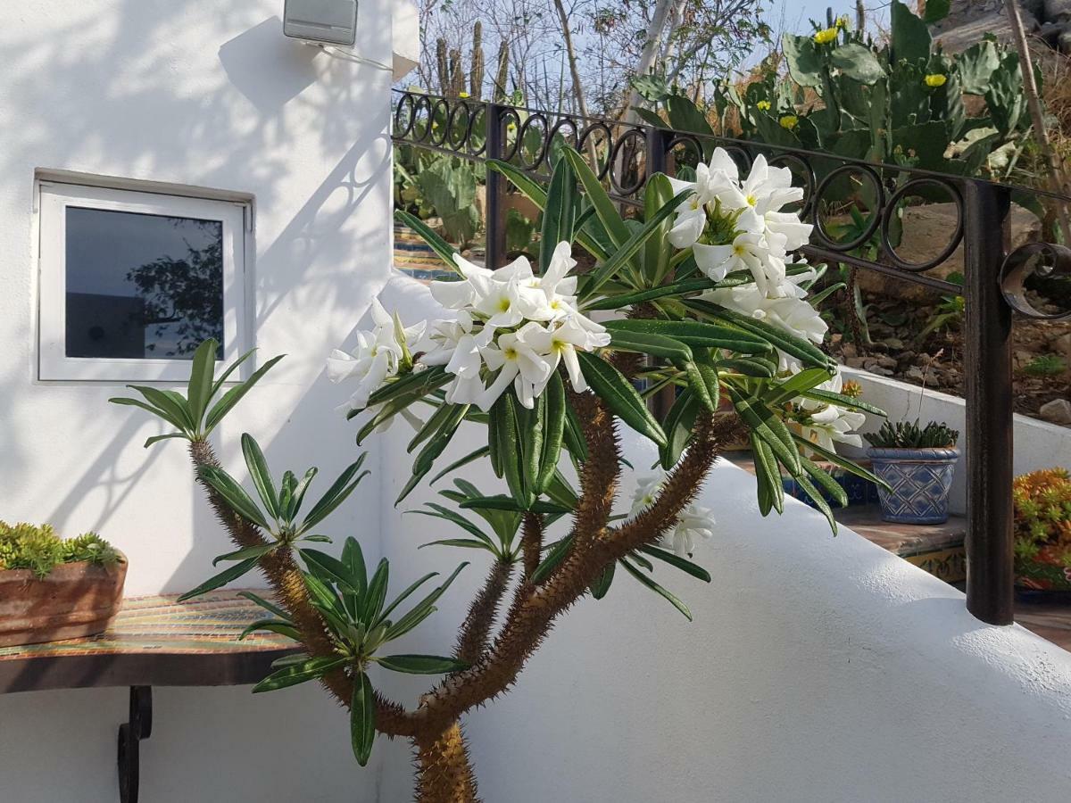 קאבו סן לוקאס Los Milagros Hotel מראה חיצוני תמונה